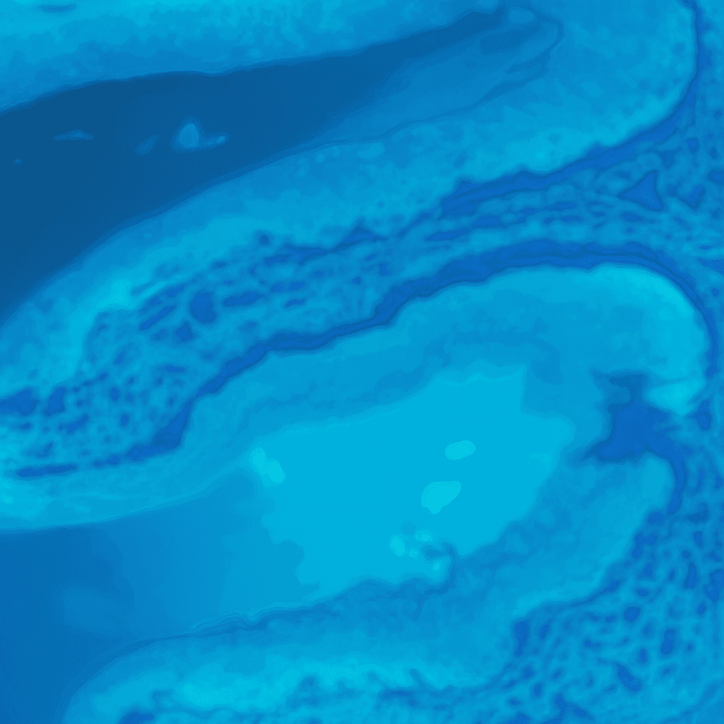 BRCA1/2 Mutation Analysis (MolPath)