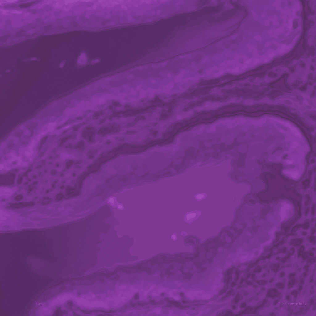 Defiziente DNA-Mismatch-Repair dMMR (IHC) Split 2
